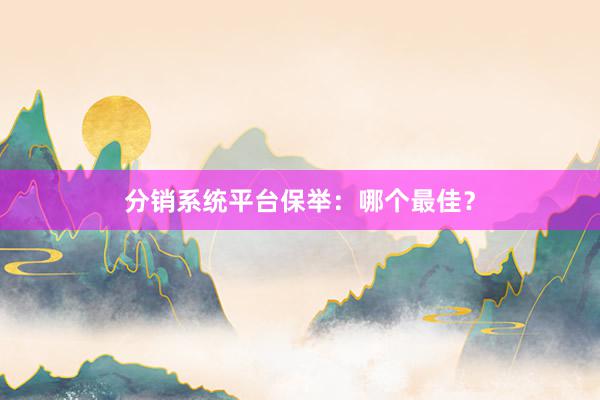 分销系统平台保举：哪个最佳？