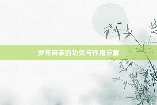 罗布麻茶的功效与作用详解