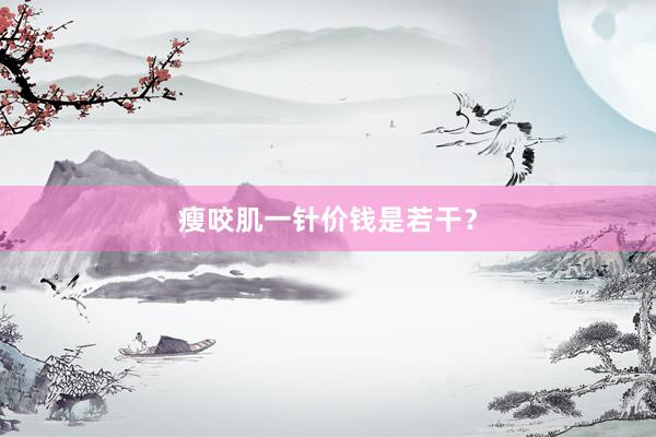 瘦咬肌一针价钱是若干？