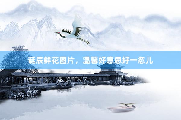 诞辰鲜花图片，温馨好意思好一忽儿
