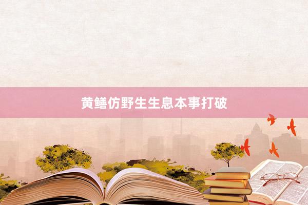 黄鳝仿野生生息本事打破